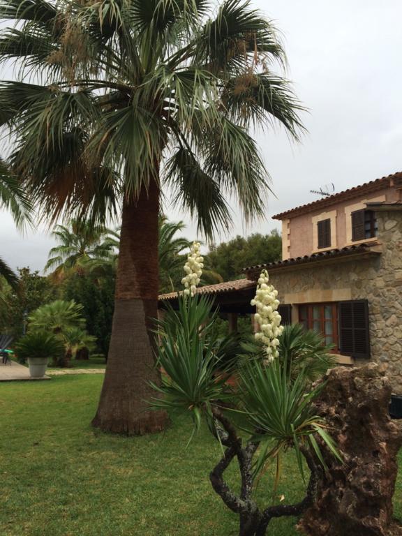 Jardí de Papallones Pollensa Exterior foto